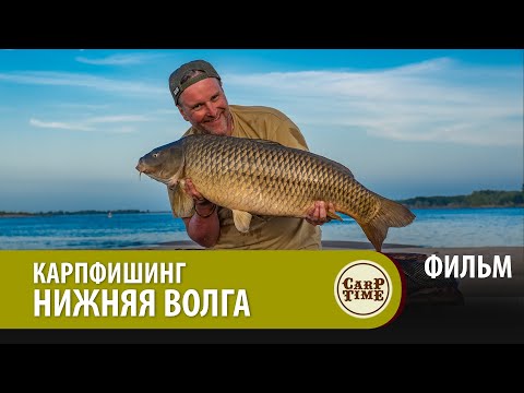 Видео: ⭐ Карпфишинг на НИЖНЕЙ ВОЛГЕ! Ловля дикого САЗАНА на БОЙЛЫ ФИЛЬМ