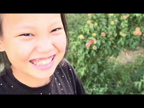 Видео: ДОМАШНИЙ ВЛОГ🎥ҮЙ ТІРЛІГІ🐟🍊🍎