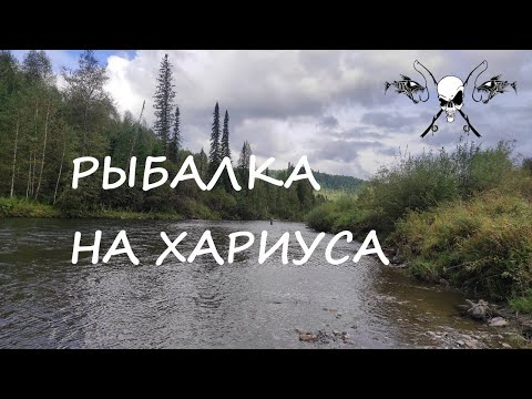 Видео: Однодневная рыбалка на хариуса по притоку р. Абакан