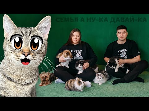 Видео: ЧЕМ ЗАНИМАЮТСЯ КОТЯТА КАЖДЫЙ ДЕНЬ? 24 ЧАСА ИЗ ЖИЗНИ ПУШИСТИКОВ АНУКА ДАВАЙКА! СМЕШНЫЕ КОТЫ и МЕРЧ