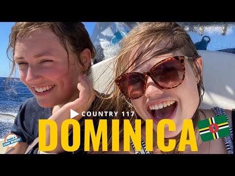 Видео: НЕВЕРОЯТНОЕ наблюдение за китами на Доминике 🐋 12 китов за один день!