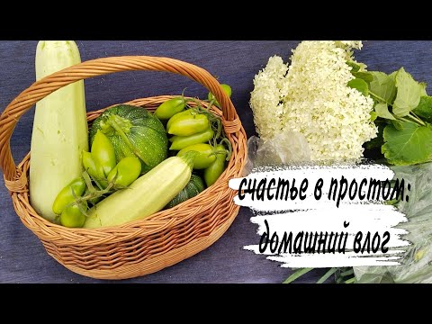 Видео: ♥️ УРОЖАЙНАЯ КОРЗИНА ♥️ МЯСО С КАБАЧКОМ 🥰 ЧЕРНАЯ СМОРОДИНА 🍓