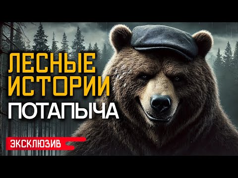 Видео: ЛЕСНЫЕ ИСТОРИИ ПОТАПЫЧА - Страшные Истории На Ночь