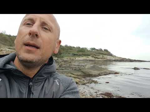 Видео: Залив Палюра Приморско -раци,кошута,манатарки и гмуркане.