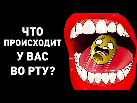 Видео: Путешествие к истокам вкуса