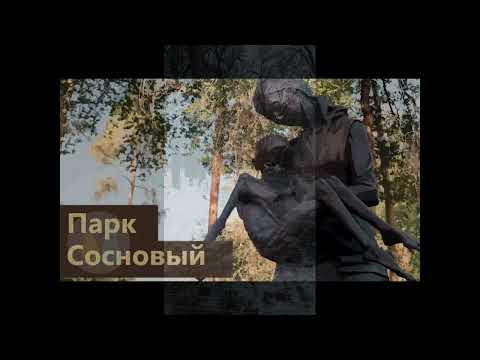 Видео: Алматинский Сосновый парк, он же Норвежский лес