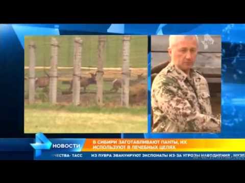 Видео: Новости   РЕН ТВ  от 03.06.2016