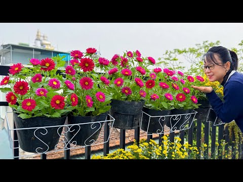 Видео: Экономящие место подвесные горшки для маленьких балконов