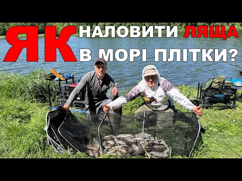 Видео: Лящі та карасі на фідер | Рекордний улов 2025 | Тактика та прийоми на ВЕЛИКУ рибу!