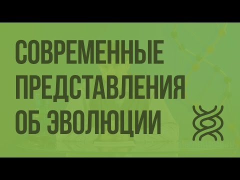 Видео: Современные представления об эволюции органического мира. Видеоурок по биологии 9 класс