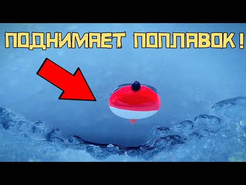 Видео: СХВАТИЛО РЕАЛЬНОЕ НЕЧТО!!! ОНО подняло ТАБЛЕТКУ! Зимний поплавок УДИВЛЯЕТ!