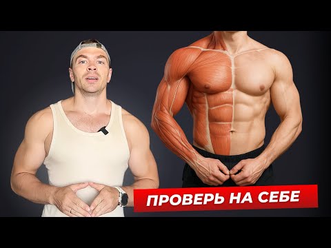 Видео: Вот почему мышцы не растут: никто не учит СОСТАВЛЯТЬ программу тренировок правильно