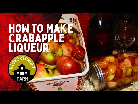 Видео: Как приготовить яблочный ликер