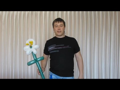 Видео: Башмачок Венеры