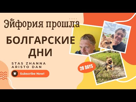 Видео: В Болгарию. Эйфория прошла.