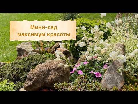 Видео: 🌿 Цветущие миниатюры и сезонные акценты 🌿 Каменная горка в лучах мая 🌿