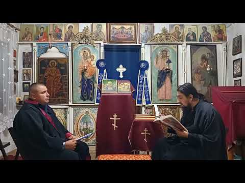 Видео: Беседа за произхода на живота, човека и за маймунската теория 