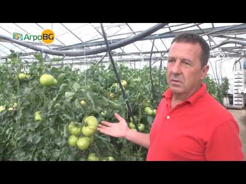 Видео: Удвоете добивите си с торовете Лебозол