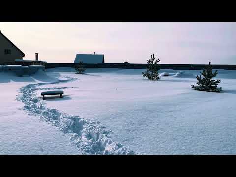 Видео: 🧊РЕАЛЬНОЕ ПРОМЕРЗАНИЕ ГРУНТА🧊 Опыт первый.