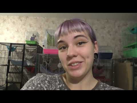 Видео: СКОЛЬКО ВСЕГО У НАС КРЫС? КРЫСЯТА НА ПРИСТРОЙ!