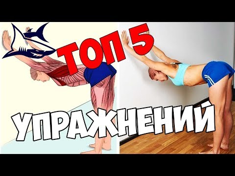 Видео: ТОП 5 упражнений для растяжки. Гибкость в домашних условиях. Стретчинг