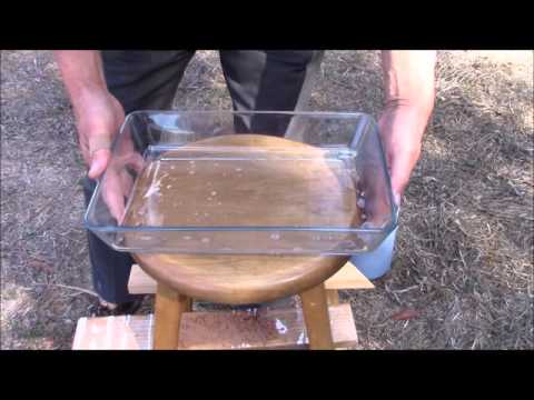 Видео: Простая и эффективная ловушка «Желтая куртка»