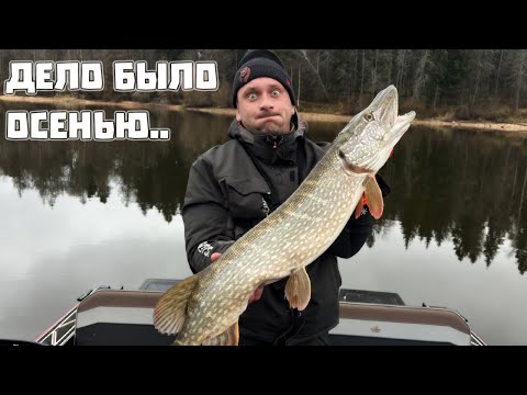 Видео: За ТРОФЕЙНОЙ щукой на Озернинское водохранилище!