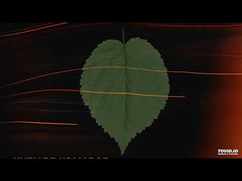 Видео: Кирилл Комаров - Мой Доктор