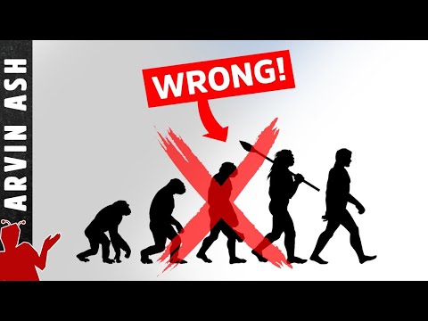 Видео: Как на самом деле работает эволюция? Самолеты, созданные из торнадо?