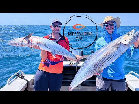 Видео: Ловля испанской скумбрии в Пилбаре
