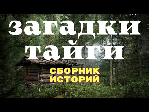 Видео: Ужасы тайги/ Мистические страшные истории/ Истории таёжных охотников/ Охотничьи байки