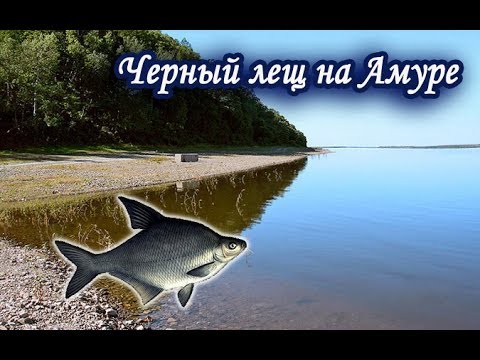 Видео: Качаемся с 30 разряда. Русская Рыбалка 3.99.