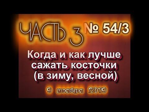 Видео: 54 ч 3 Когда лучше высаживать косточки