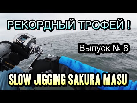 Видео: ТРОФЕЙ ! СИМА НА СЛОУ ! ЗАКРЫТИЕ СЕЗОНА !