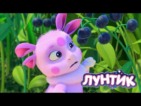 Видео: Лунтик 🍋🍋🍋 Кислая ягода 🍋🍋🍋 Сборник мультиков для детей