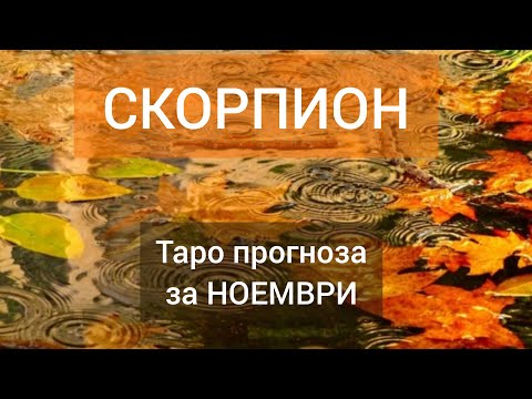 Видео: СКОРПИОН ♏ Таро🍁НОЕМВРИ 2024 #tarot #рийдинг #хороскоп #tarotreader #скорпион