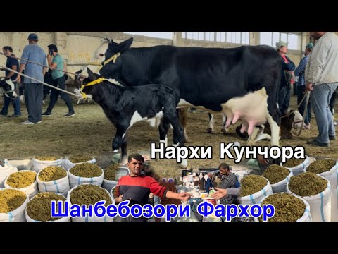 Видео: Шанбебозори Фархор Нархи хуроки чорво гови ширте Букача,  5 октября 2025 г.