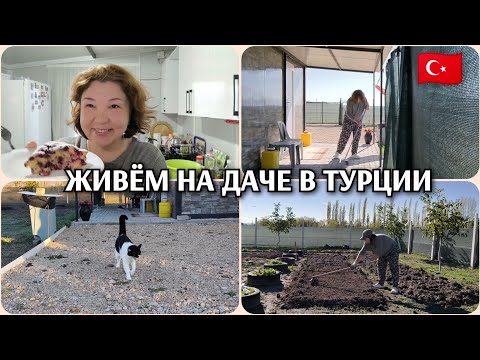 Видео: Дачные будни: с утра вскопал/ готовлю завтрак/провожаю мужа/сажаю шпинат/ пеку пирог 🥰