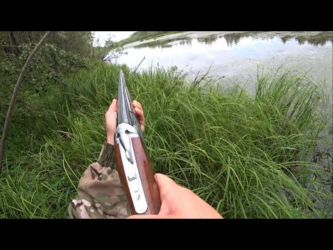 Видео: Озеро кишило уткой, мы столько утки ещё не видели!! отстрелялись как смогли)