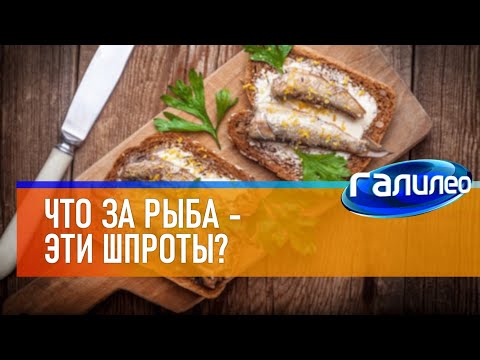 Видео: Галилео 🐟 Что за рыба - эти шпроты?