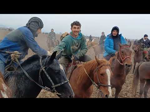 Видео: БУЗКШИ ХОВАЛИНГ МАҲАЛАИ ДУСТИ (ДУСҚЛИ)қисми 3. 01.01.2025