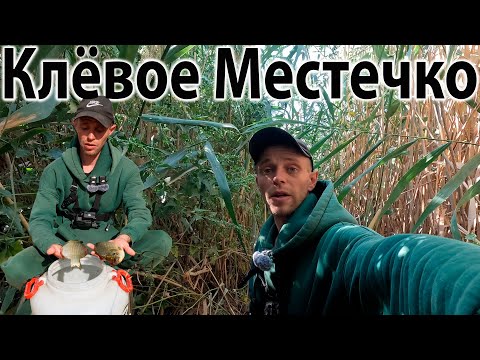 Видео: ТОП РЫБАЛКА НА КАРАСЯ В САРАТОВСКОЙ ОБЛАСТИ 2025 ТОПОВАЯ РЫБАЛКА #рыбалкавидео #поплавочнаяудочка