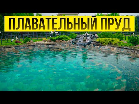 Видео: Пруд или бассейн? Какой водоём выбрать для участка