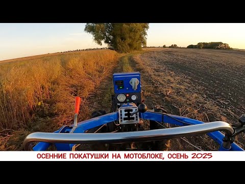 Видео: Покатушки на мотоблоке, осенью 2025 / Rides on a walk-behind tractor