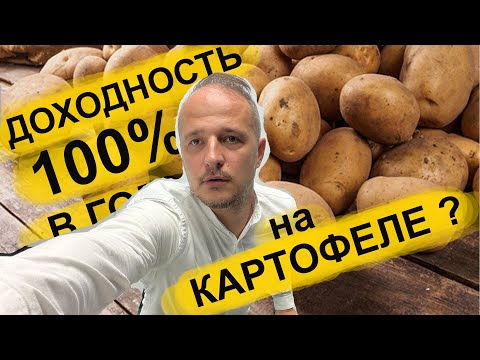 Видео: БИЗНЕС ВЫРАЩИВАНИЕ КАРТОФЕЛЯ. ДОХОДНОСТЬ ВЫРАЩИВАНИЯ КАРТОШКИ. АГРОБИЗНЕС С МАКСИМОМ ГОНЧАРЕНКО