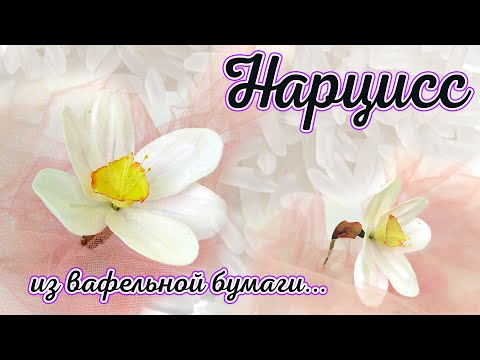 Видео: Делаю "Нарцисс" из вафельной бумаги