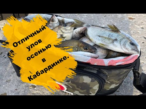 Видео: Отличный улов осенью в Кабардинке.