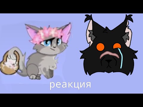 Видео: реакция на "cat_leafpool" [чит.опис.]