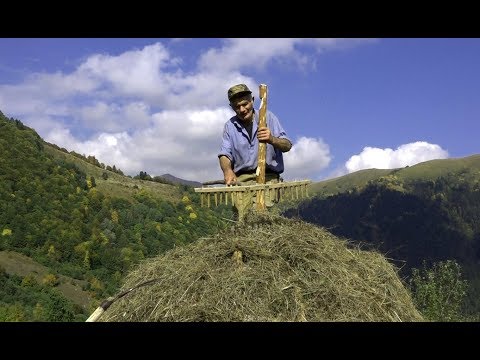 Видео: Аивадон балцы Мамытаты Геннадиимӕ "Машхарайы хъӕумӕ" 10.11.2019.