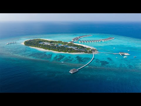 Видео: Mövenpick Resort Kuredhivaru Maldives - гастрономический рай